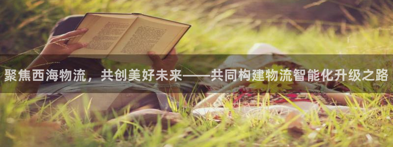 超凡国际登录用户名登录不上：聚焦西海