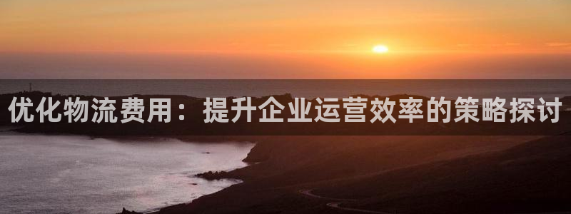 超凡国际官网入口正版：优化物流费用：