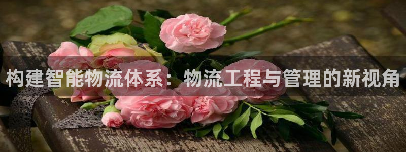 超凡国际官网入口2024：构建智能物