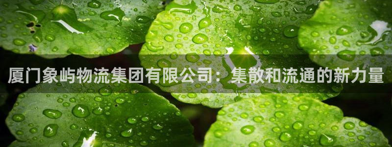 超凡国际app怎么注册账号：厦门象屿