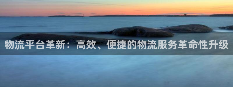 超凡国际注册官网：物流平台革新：高效
