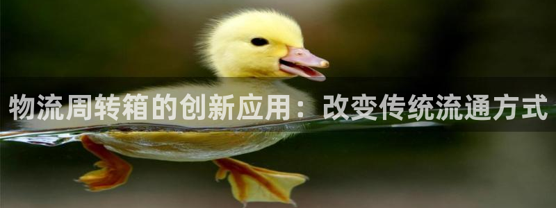 超凡国际充值金额随便：物流周转箱的创