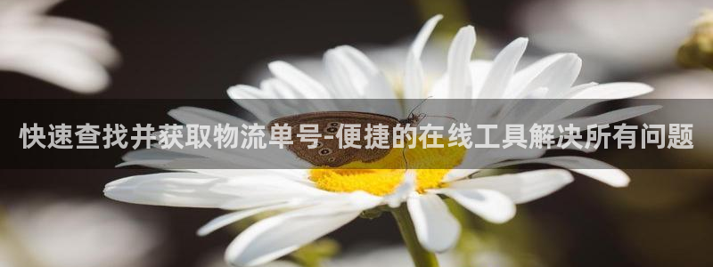 超凡国际为什么没有赢过一次