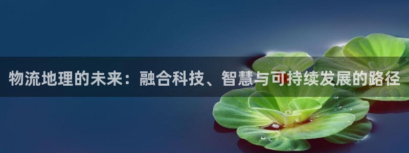 超凡国际技巧：物流地理的未来：融合科