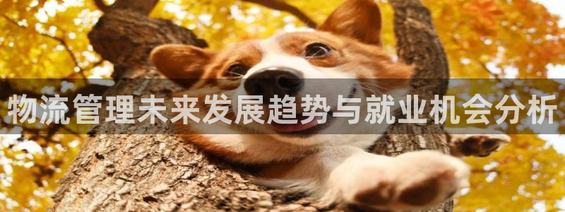 超凡国际的平台：物流管理未来发展趋势