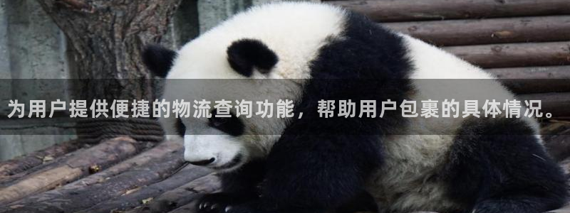 超凡国际游戏最新版：为用户提供便捷的