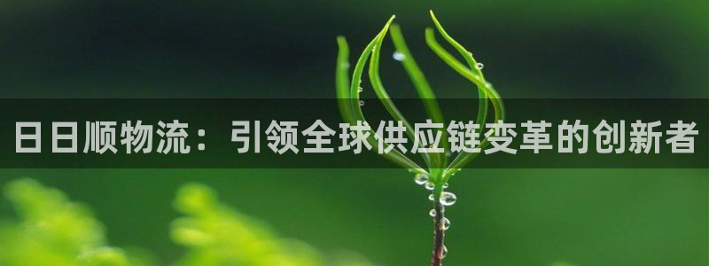 超凡国际能退款吗：日日顺物流：引领全