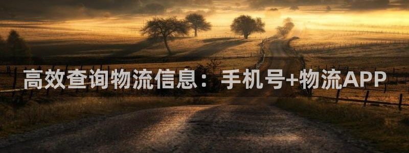 超凡国际连输10天：高效查询物流信息