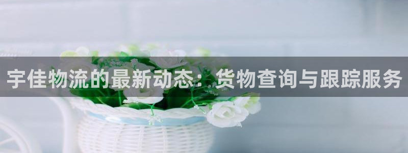 超凡国际pg如何退钱：宇佳物流的最新动态：货物查询与跟踪服务
