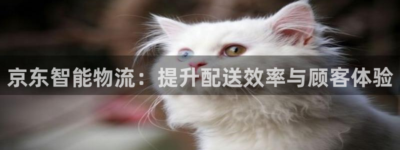 超凡国际官网网站：京东智能物流：提升配送效率与顾客体验