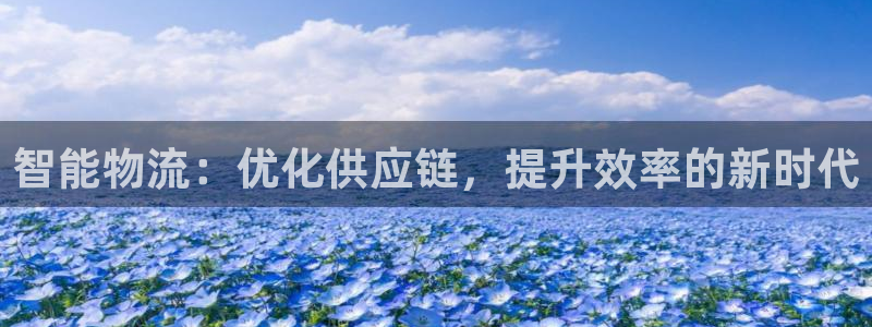 超凡国际选28ng官网：智能物流：优
