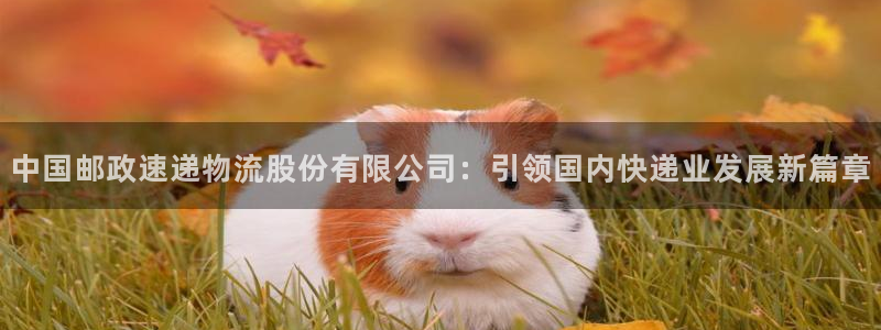 超凡国际麻将胡了：中国邮政速递物流股份有限公司：引领国内快递