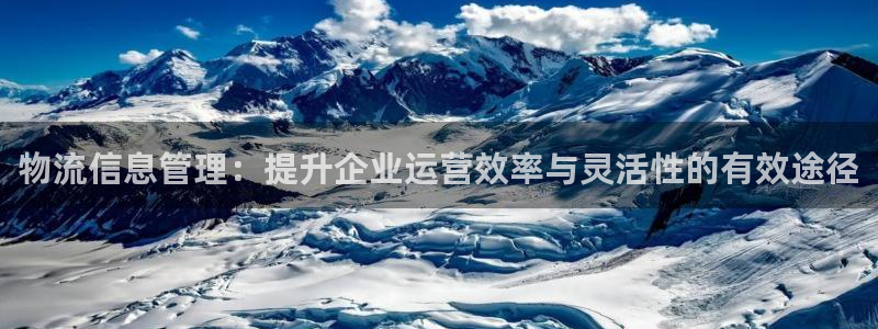 超凡国际官网下载APP：物流信息管理：提升企业运营效率与灵活