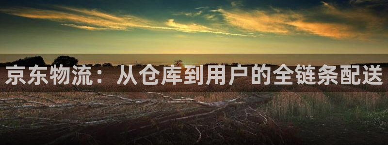 超凡国际免费:京东物流:从仓库到用户