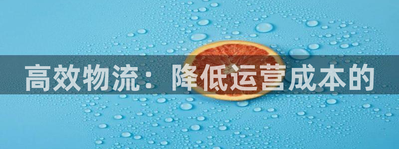 超凡国际自行车图片:高效物流:降低运